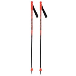 ROSSIGNOL HERO GS-SG JR