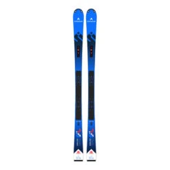 Dynastar Speed Omeglass Wc Sl 150 R22 Black/blue